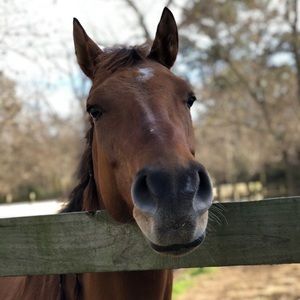 Meet your Posher, Becky